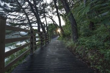 Coakers Walk Kodaikanal