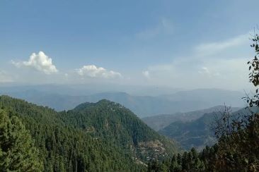 Doodhpathri Meadows