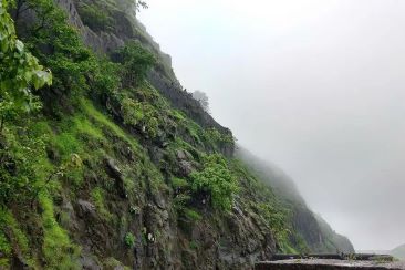 Elephants Head point
