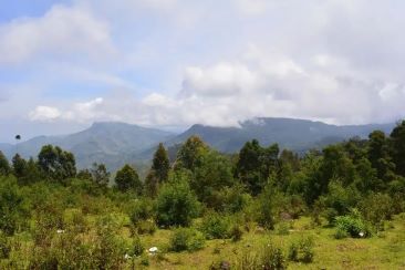 Green Valley viewpoint Kodaikanal