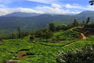 Lockhart Gap view Munnar