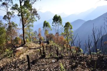 Moir point Kodaikanal