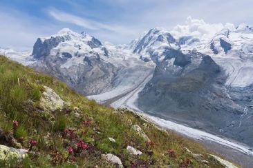 Pindari Glacier viewpoint