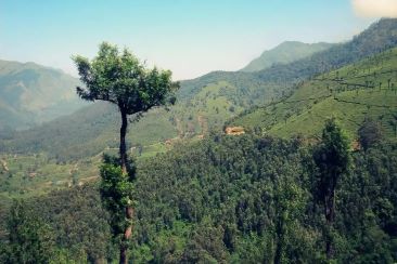 Ponmudi Valley viewpoint Kerala