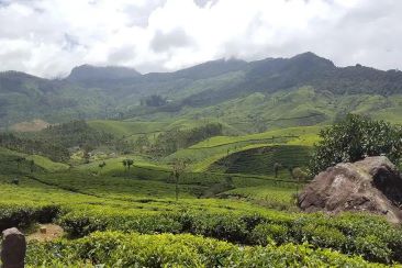 Pothamedu viewpoint Munnar