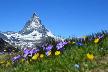 Valley of Flowers ridge