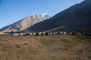 Zanskar Valley view
